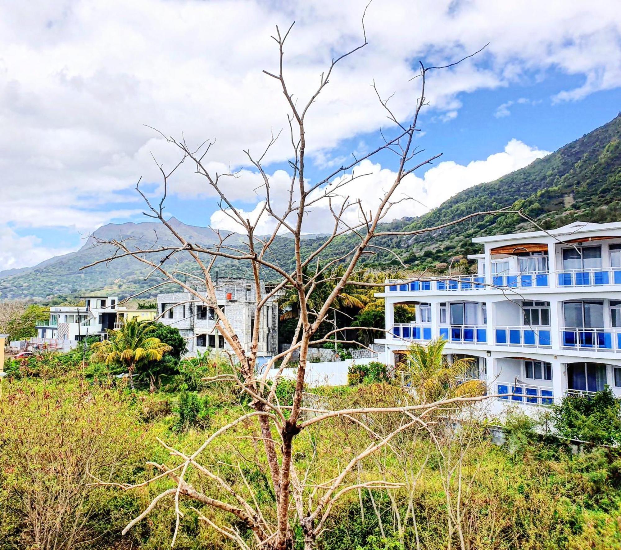Surf House Hotel ลากูแล็ตต์ ห้อง รูปภาพ