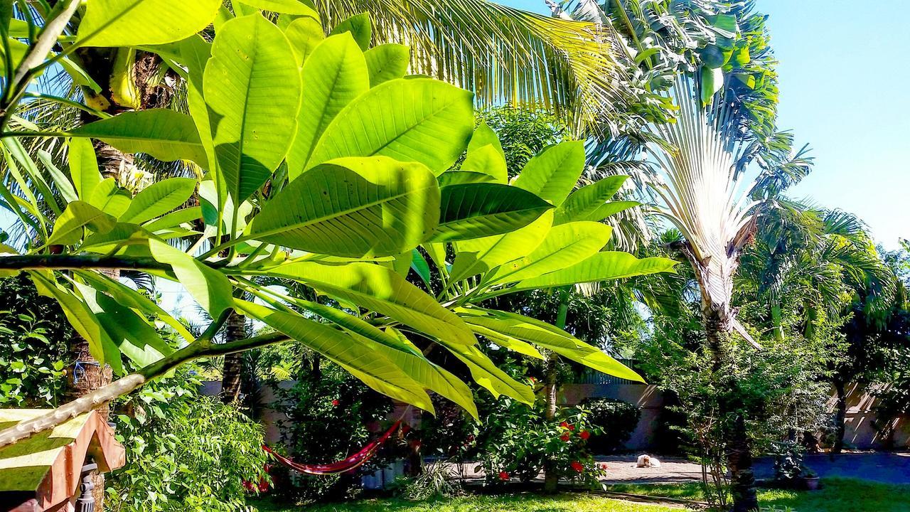 Surf House Hotel ลากูแล็ตต์ ภายนอก รูปภาพ